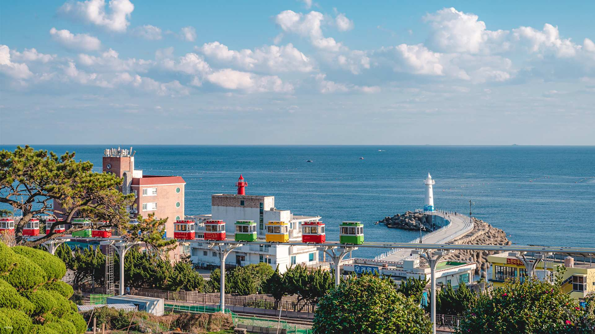 Experience the stunning coastal views of East Busan where mountains meet the sea and capture unforgettable memories with professional photos amid the scenic beauty of Ahopsan Forest and Cheongsapo.